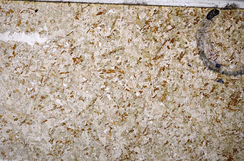 Plane Polarized, E53013