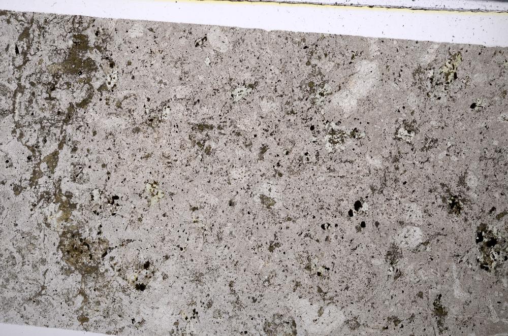 Plane Polarized, E53042