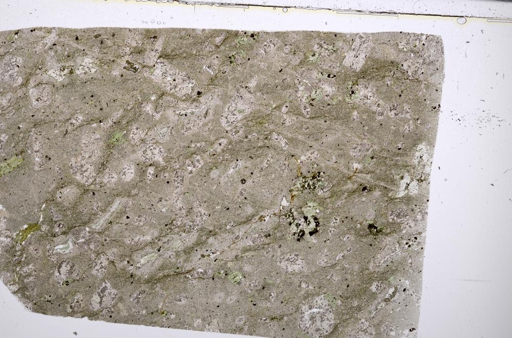 Plane Polarized, E53097