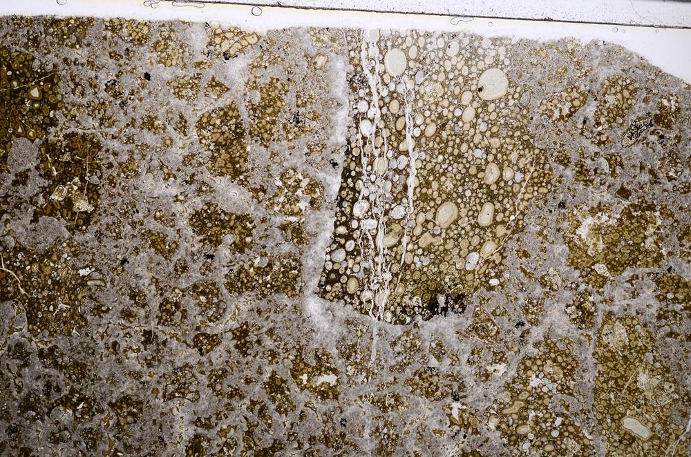 Plane Polarized, E53154