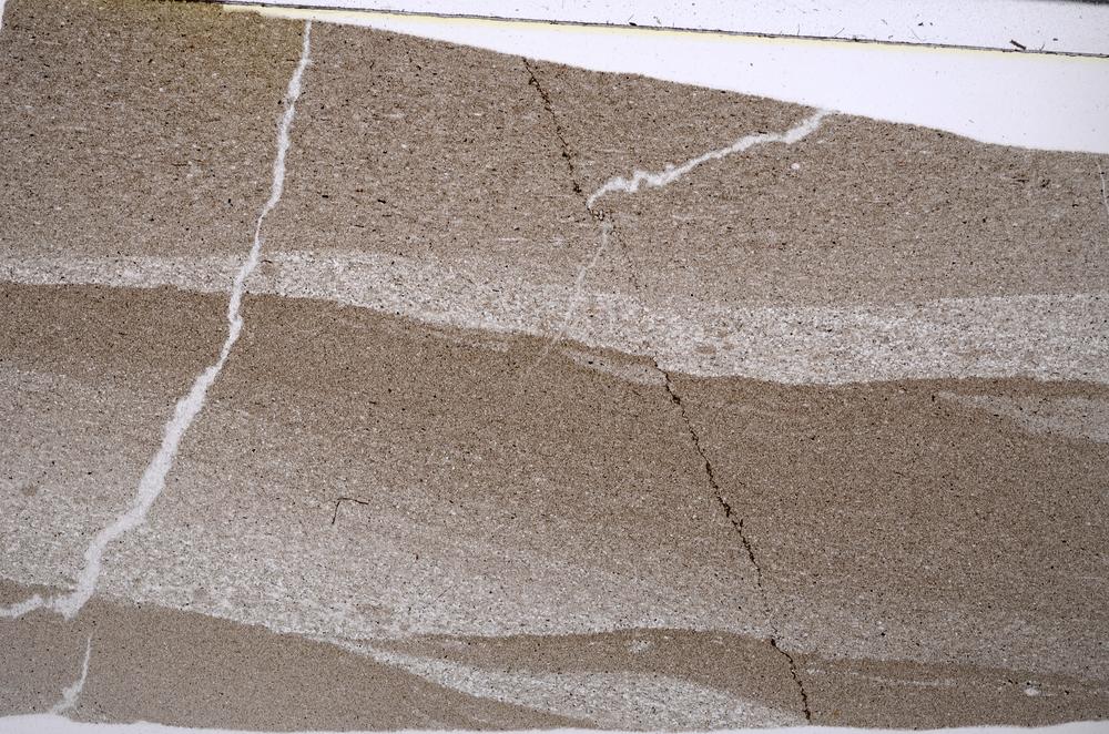 Plane Polarized, E53194