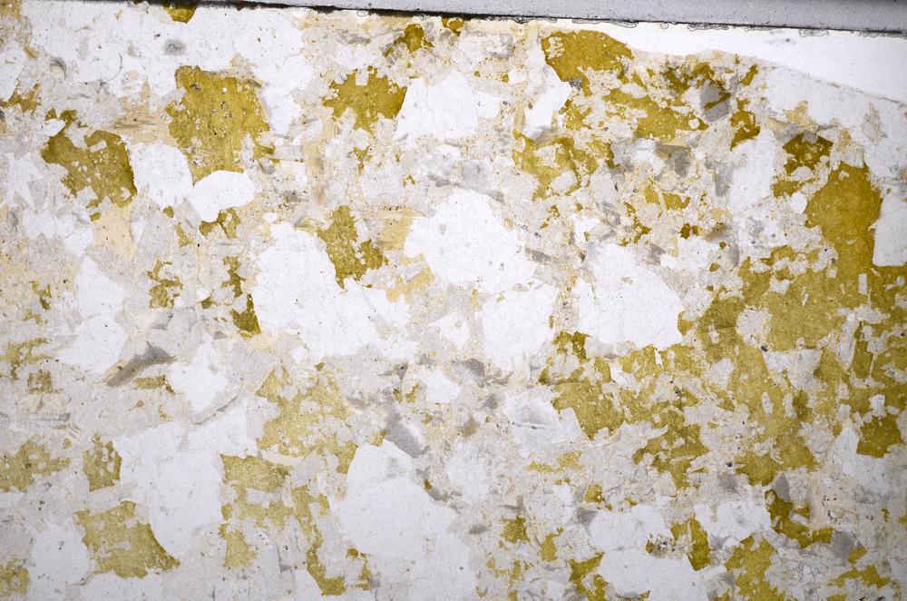 Plane Polarized, E53260/A