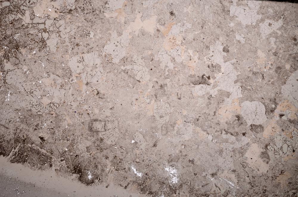 Plane Polarized, E53260/B