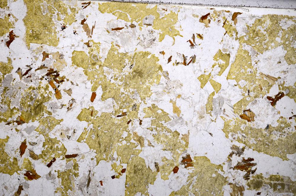 Plane Polarized, E53267/A