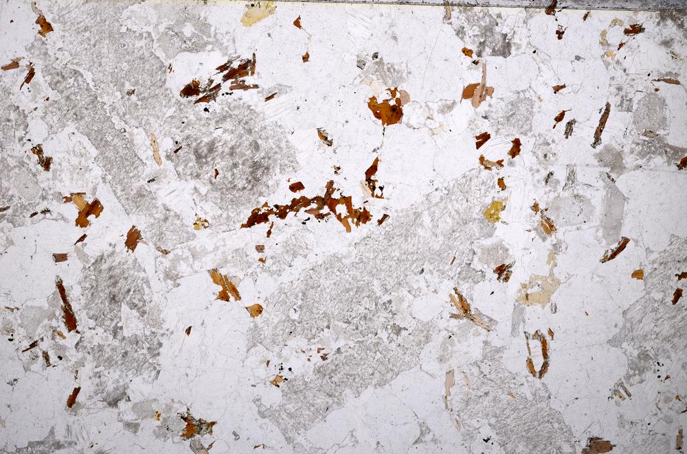 Plane Polarized, E53267/B