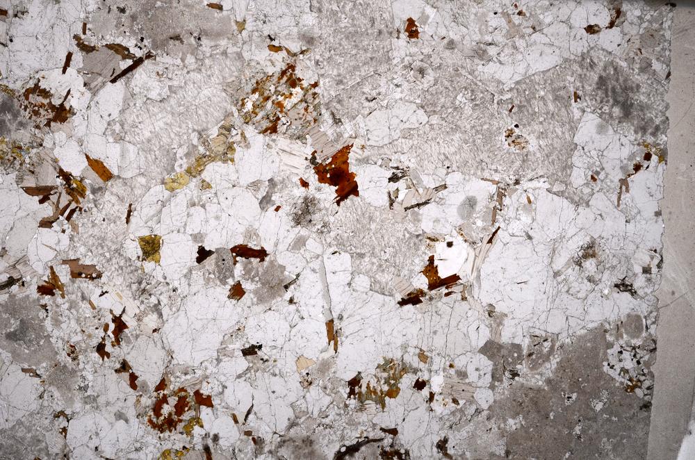 Plane Polarized, E53267/C