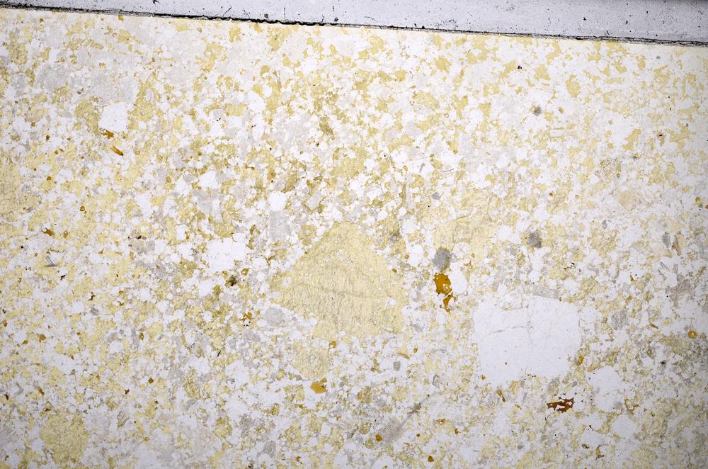 Plane Polarized, E53268/A