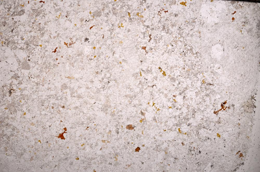 Plane Polarized, E53268/B