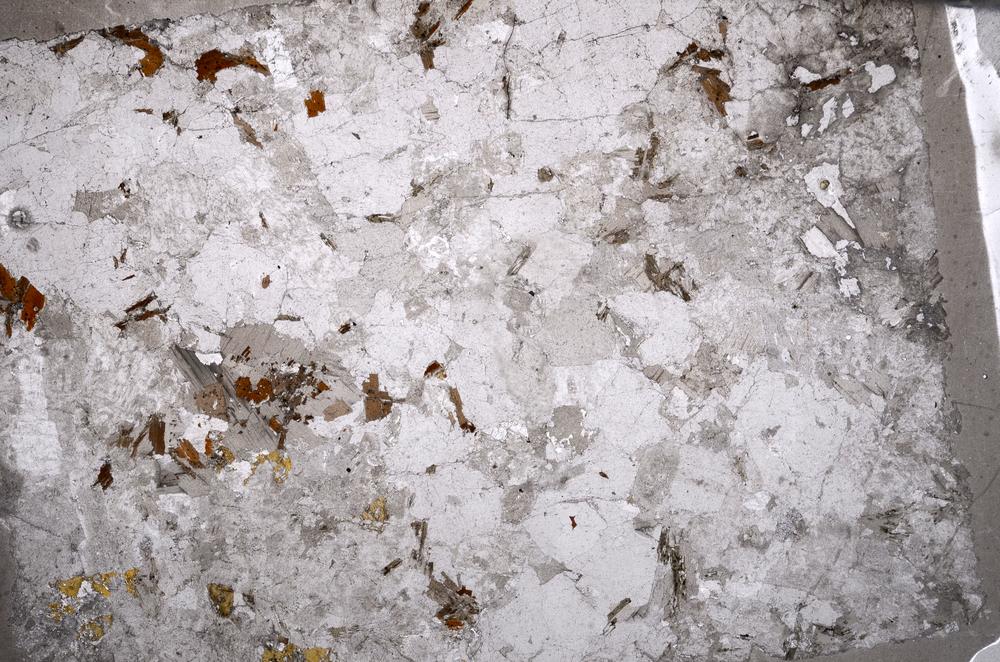 Plane Polarized, E53271/B