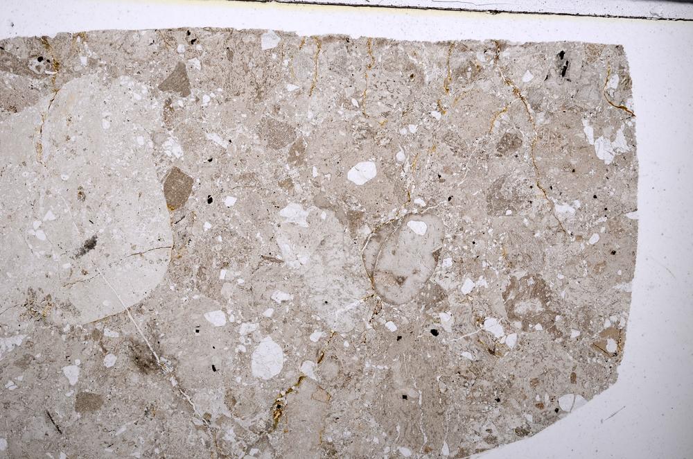 Plane Polarized, E53323