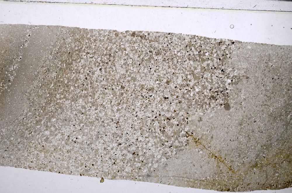 Plane Polarized, E53325