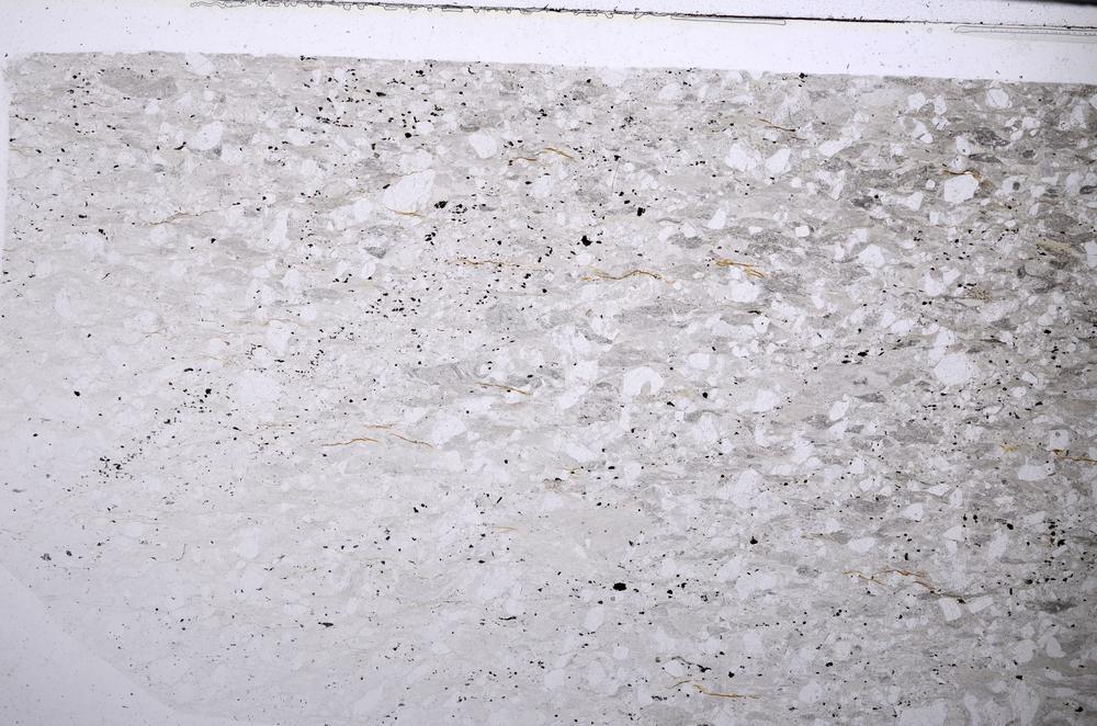 Plane Polarized, E53426