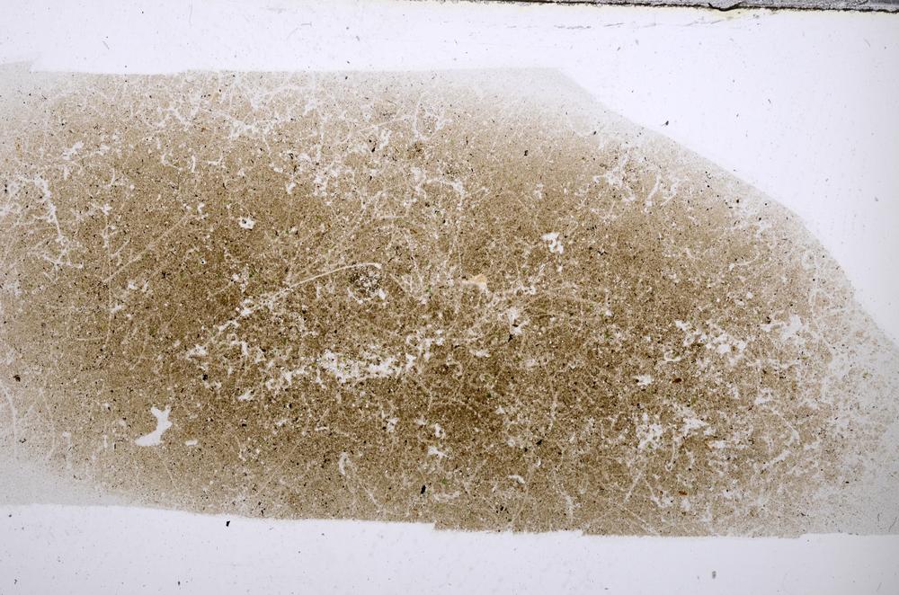 Plane Polarized, E53482