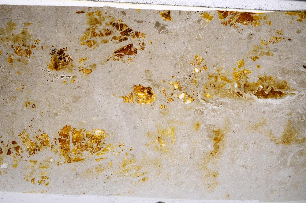 Plane Polarized, E53538