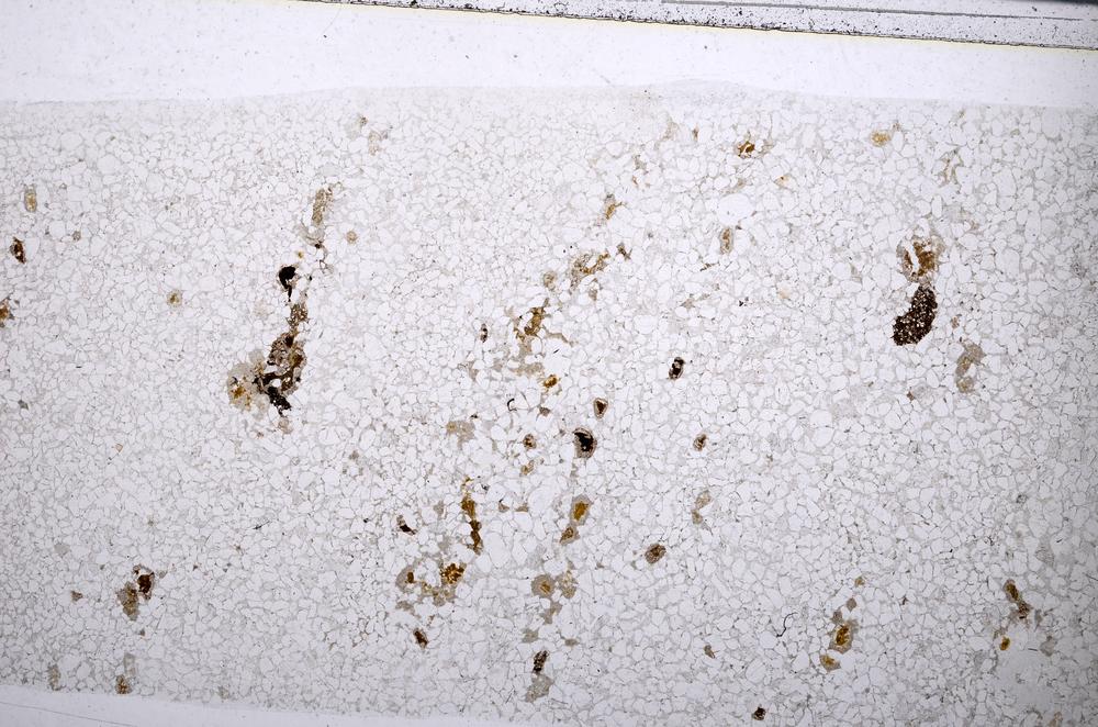 Plane Polarized, E53543