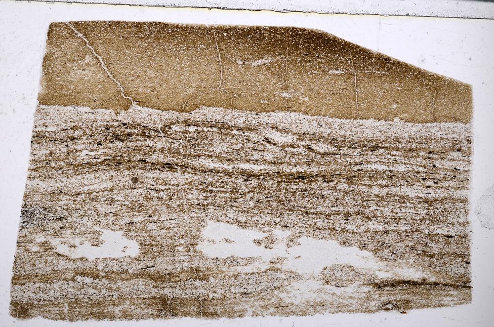 Plane Polarized, E53544