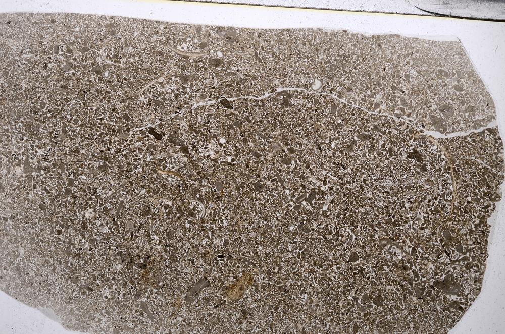 Plane Polarized, E53566