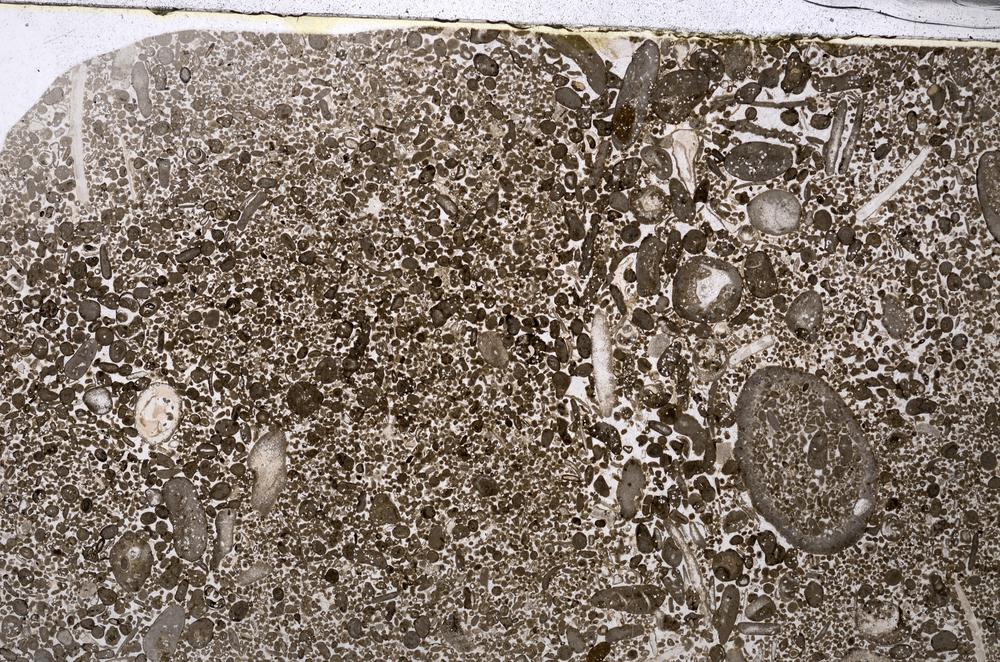 Plane Polarized, E53567