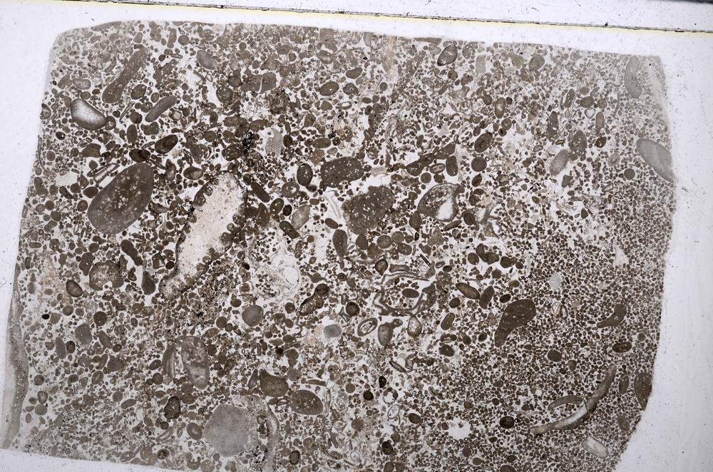 Plane Polarized, E53568