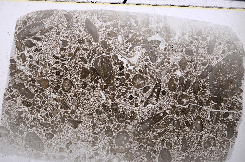 Plane Polarized, E53569