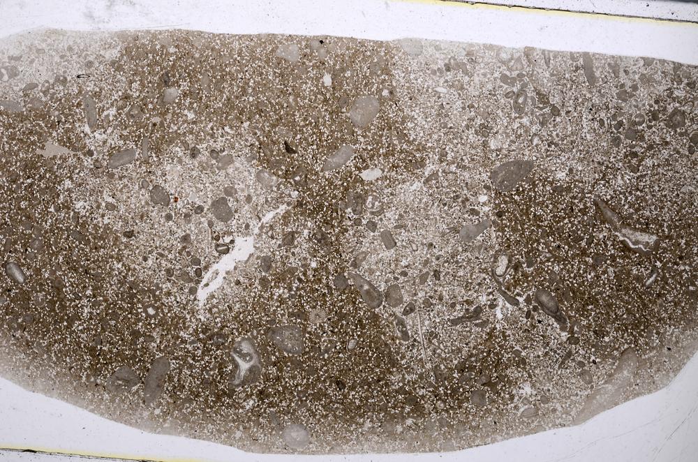 Plane Polarized, E53570