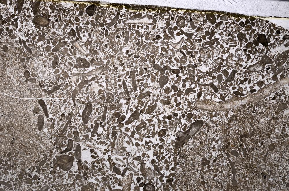 Plane Polarized, E53572