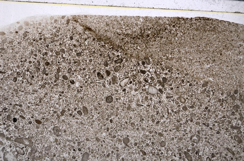 Plane Polarized, E53573