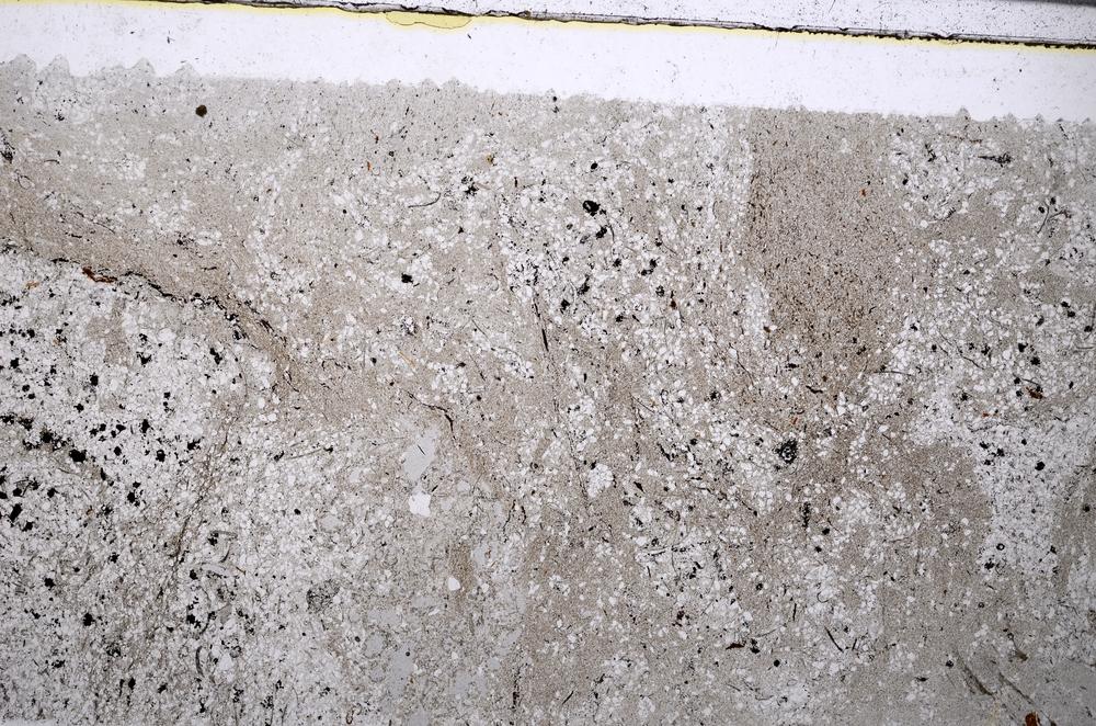 Plane Polarized, E53600