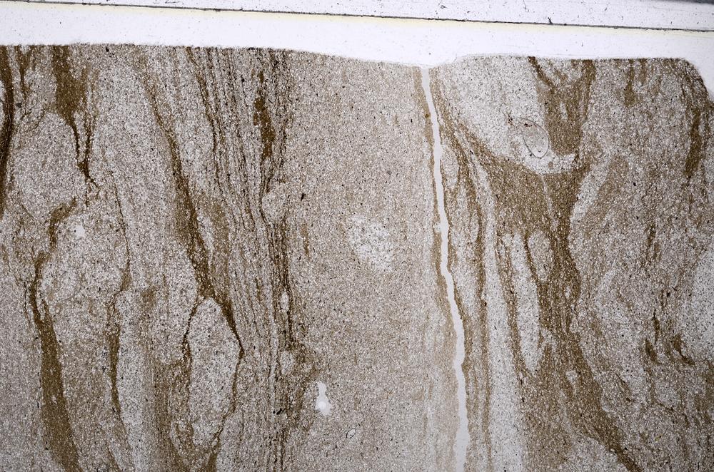 Plane Polarized, E53602