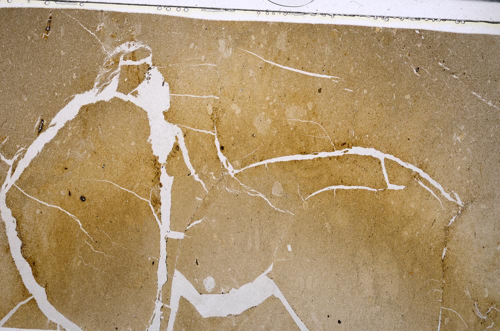 Plane Polarized, E53659