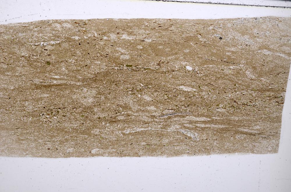 Plane Polarized, E53666