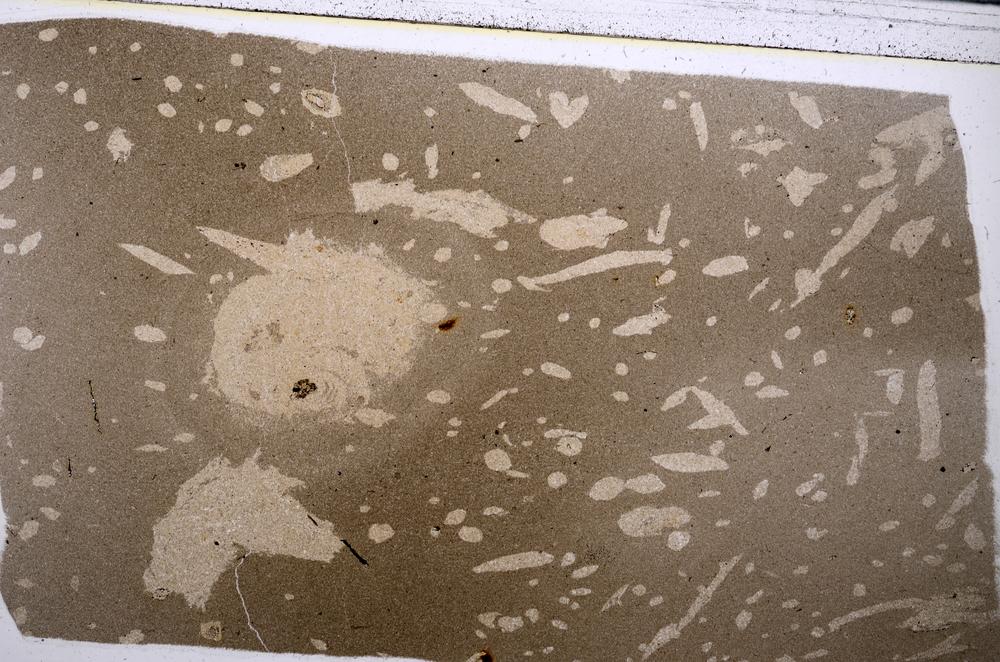 Plane Polarized, E53670