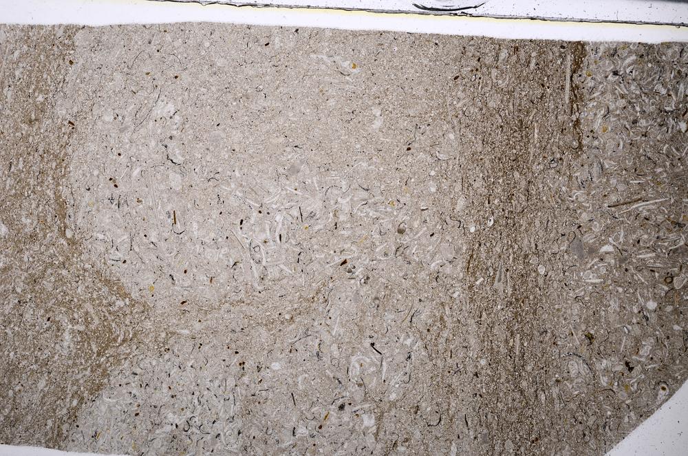 Plane Polarized, E53673