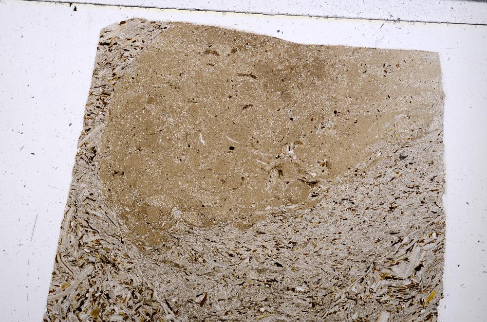 Plane Polarized, E53702