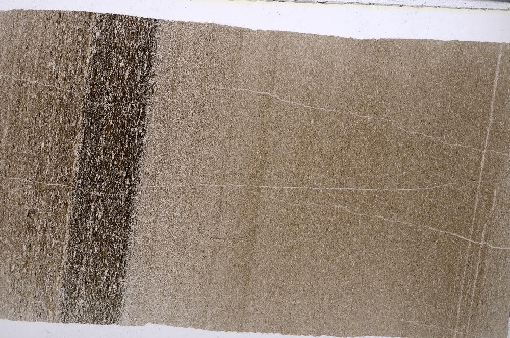 Plane Polarized, E53803