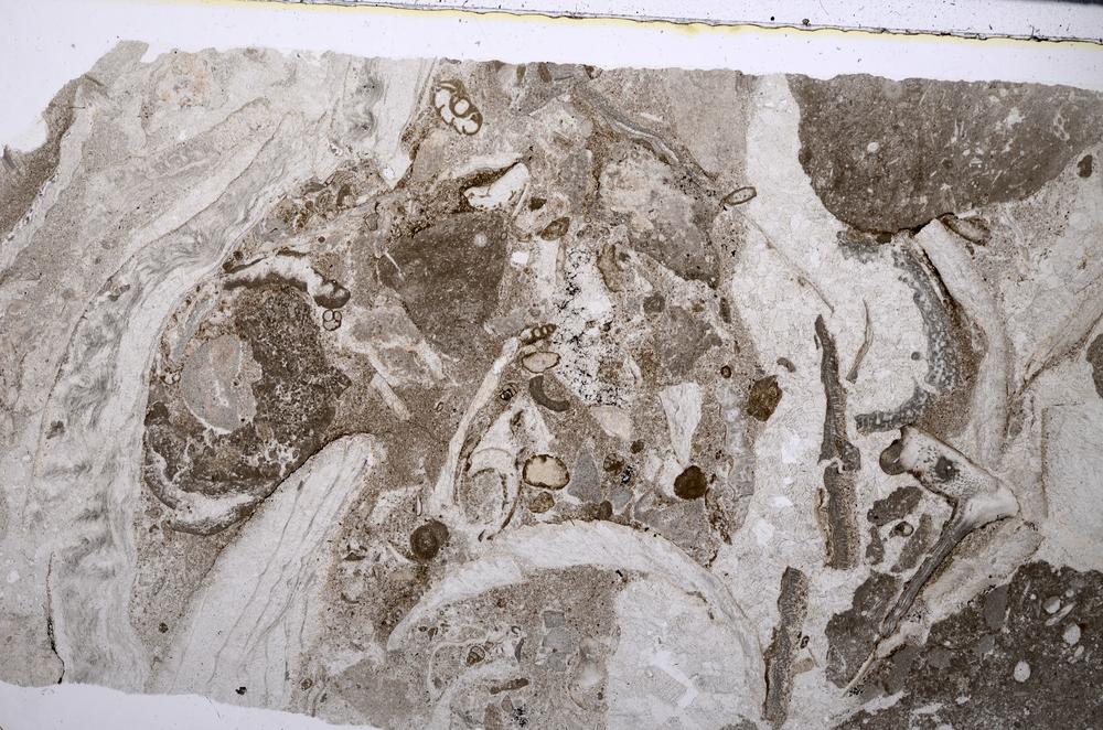 Plane Polarized, E53804