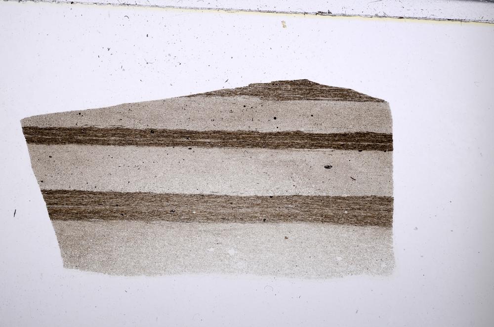 Plane Polarized, E53805