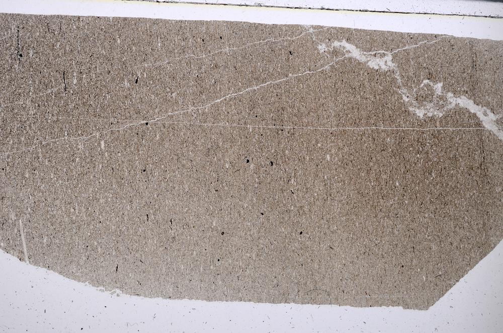 Plane Polarized, E53808