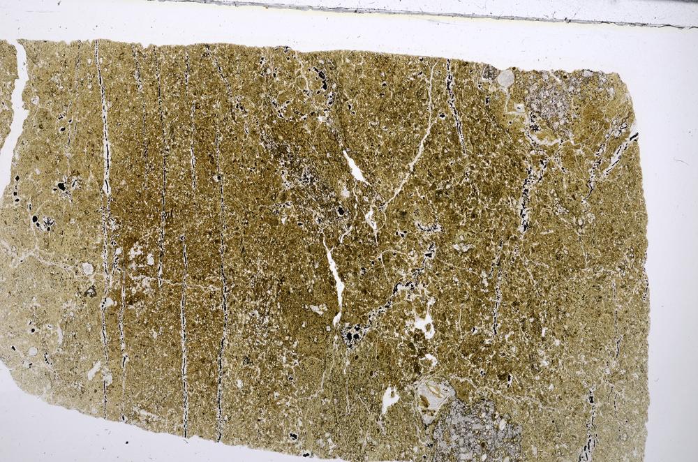 Plane Polarized, E53811