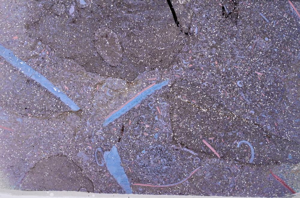 Plane Polarized, E53910/C