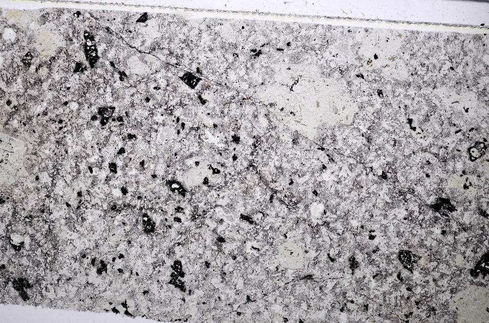 Plane Polarized, E53998