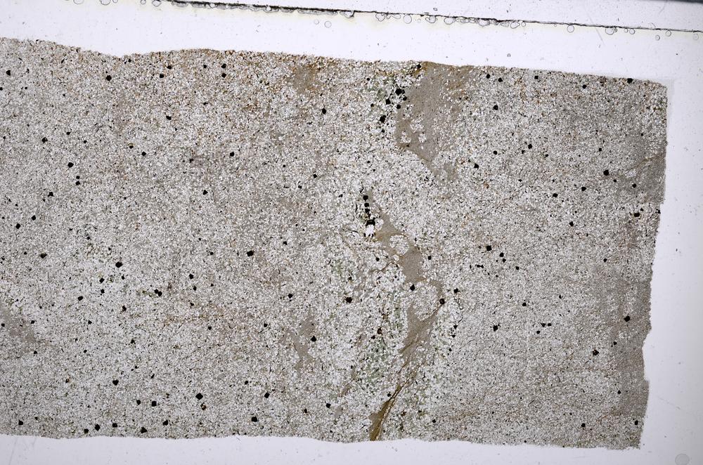 Plane Polarized, E54034