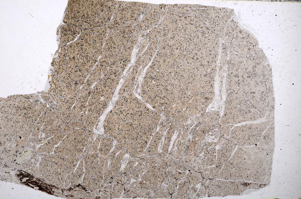 Plane Polarized, E54060