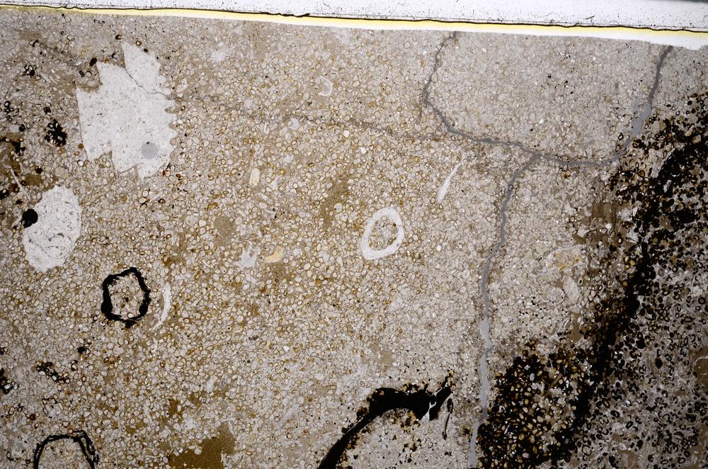 Plane Polarized, E54074