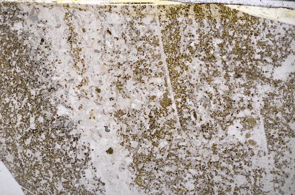 Plane Polarized, E54076