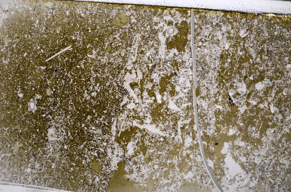 Plane Polarized, E54077