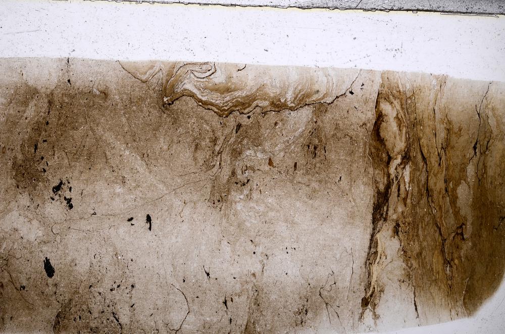 Plane Polarized, E54135/A