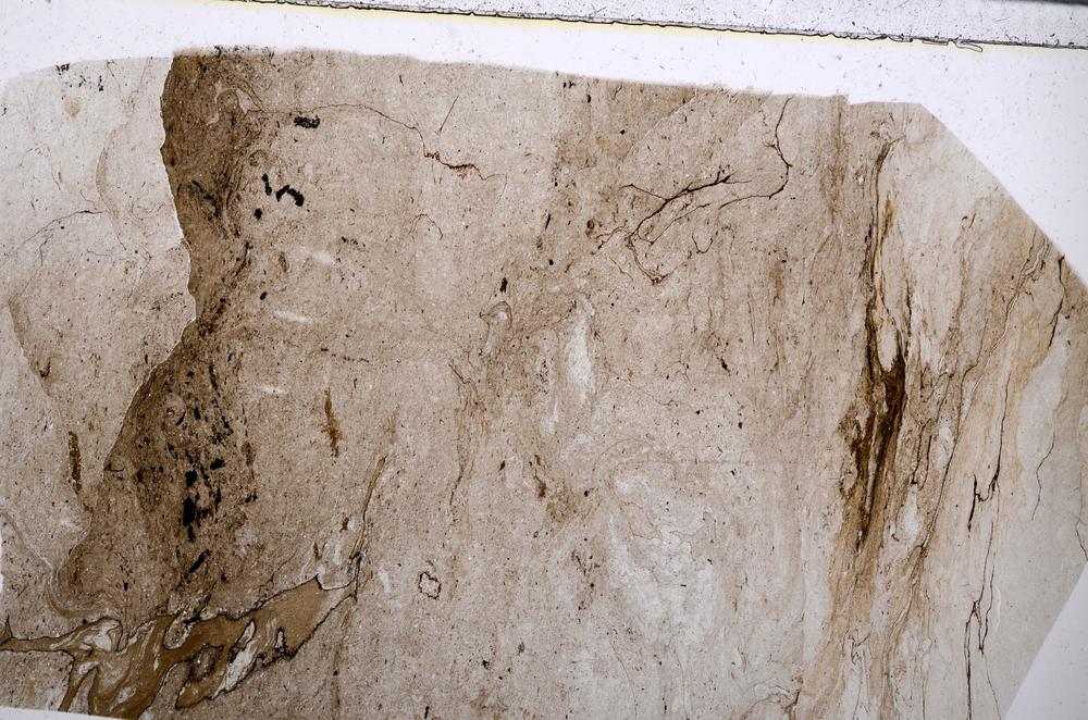 Plane Polarized, E54135/B