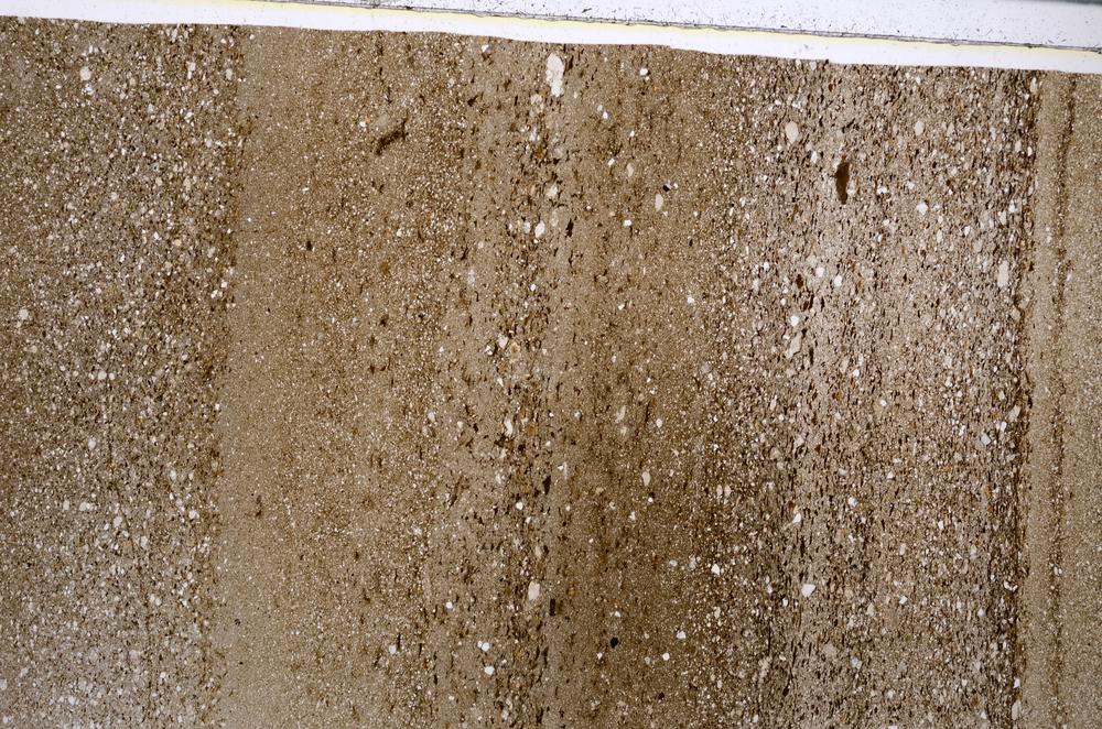 Plane Polarized, E54137