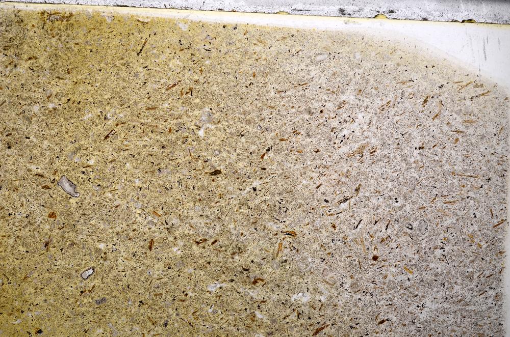 Plane Polarized, E54140/A